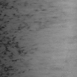 Texture of old grunge rust wall